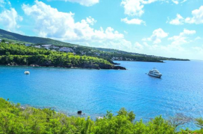 Propriete de 2 chambres avec vue sur la mer terrasse amenagee et wifi a Vieux Habitants a 1 km de la plage